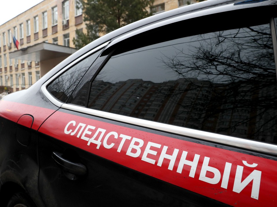 В Следственном комитете России проверят информацию о нарушении прав жителей в одном из СНТ в Домодедове