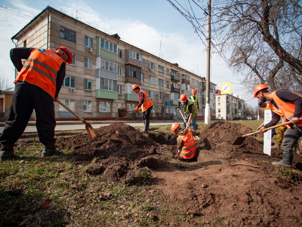 Город останется зеленым: деревья и кустарники высадят на Садовой в Кашире-2  после завершения строительства трубопровода | REGIONS.RU / Кашира