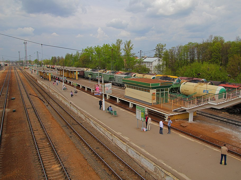 Профилактический рейд прошел на железнодорожной станции в Домодедове