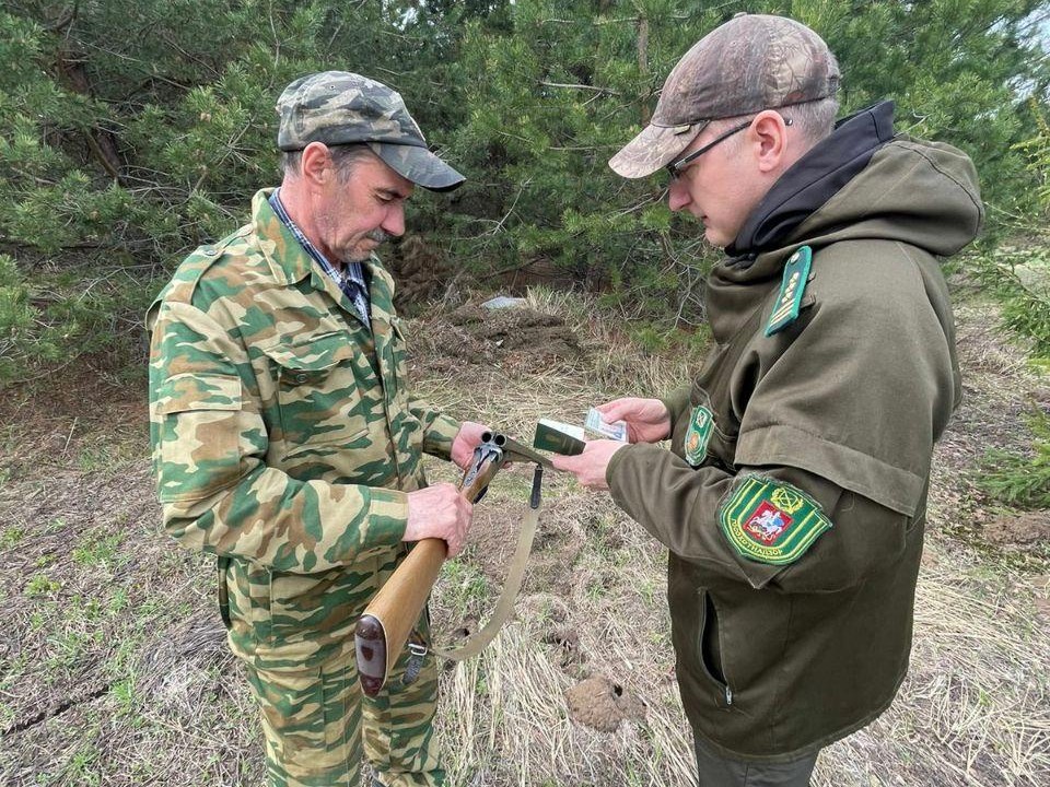 Охотникам из Черноголовки разрешается до конца апреля добыть пять гусей, пять уток и трех вальдшнепов