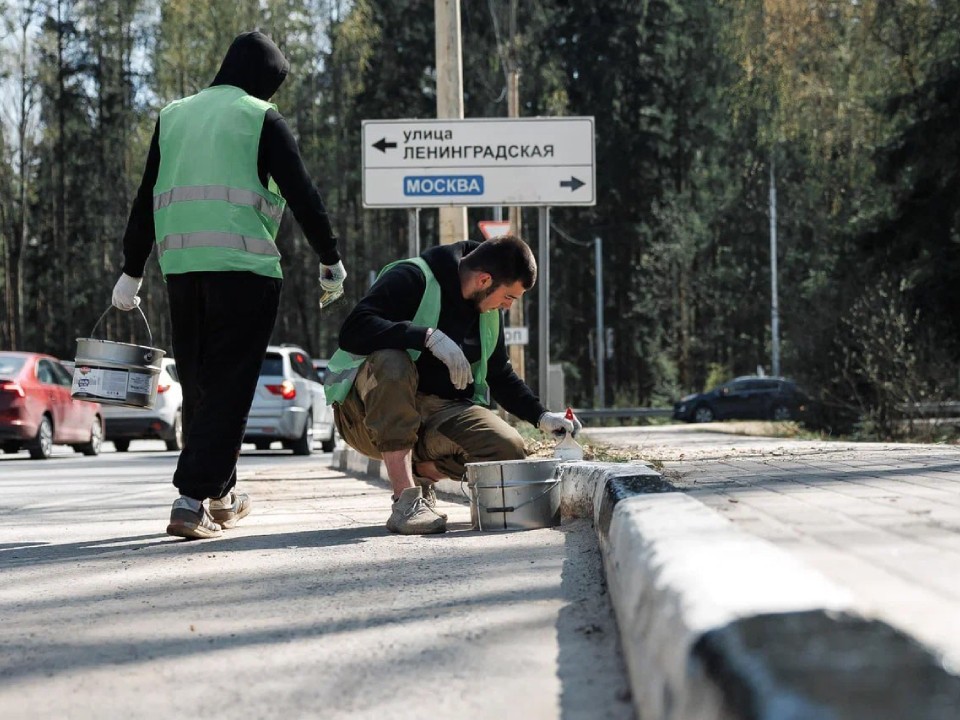 В Дубне коммунальщики устранили все 102 дефекта в парковых зонах