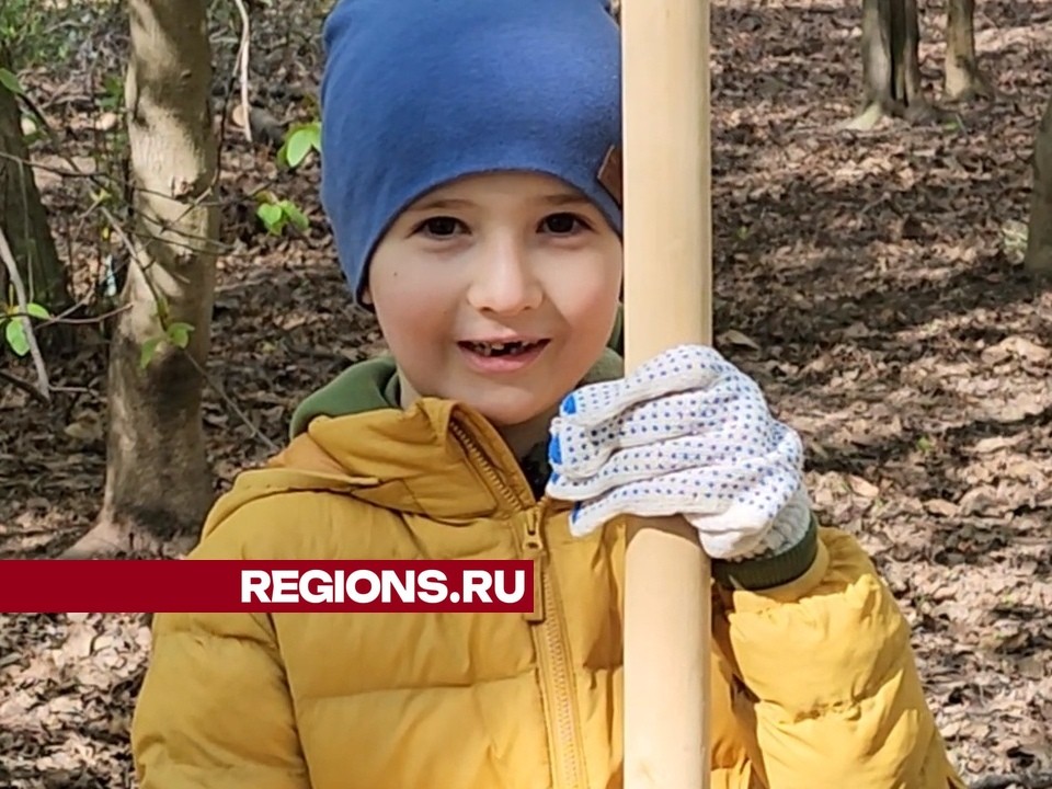 Благодаря местным жителям парк «Тенистый» преобразился