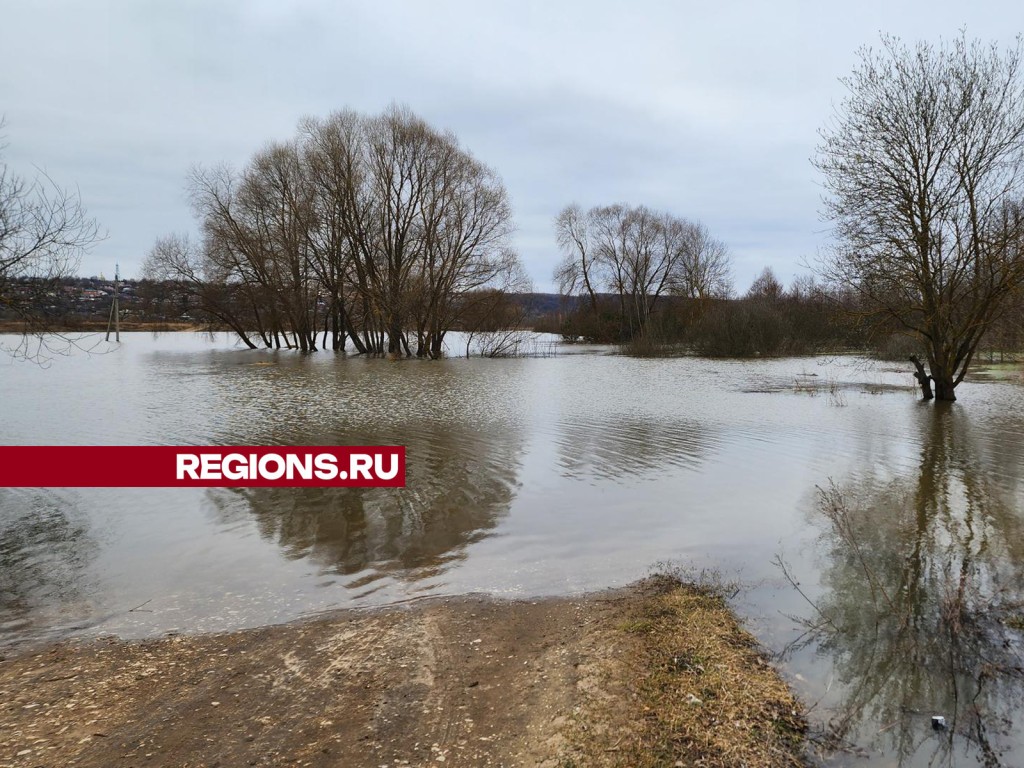 Ока поднялась более чем на семь метров в районе Белопесоцкого монастыря |  REGIONS.RU / Ступино