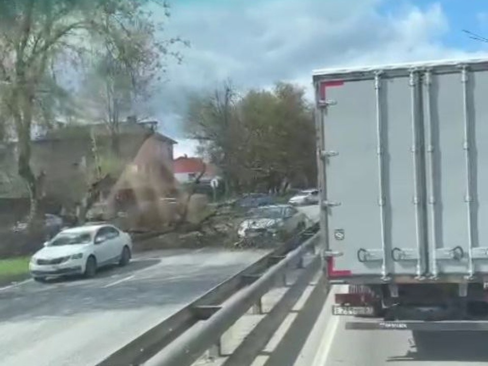 На проспекте Ленина в Подольске дерево упало на машину такси