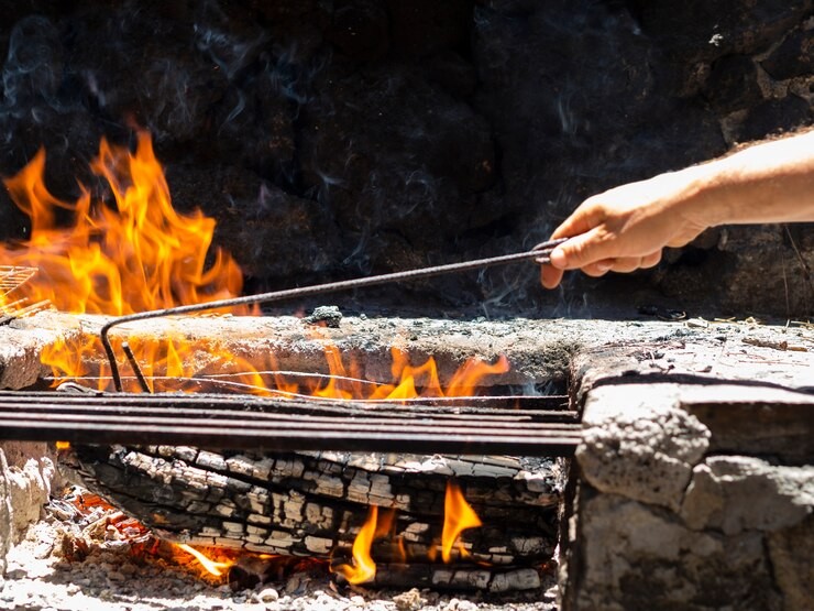 Шашлыки «в законе»: где в Ленинском округе пожарить мясо на природе