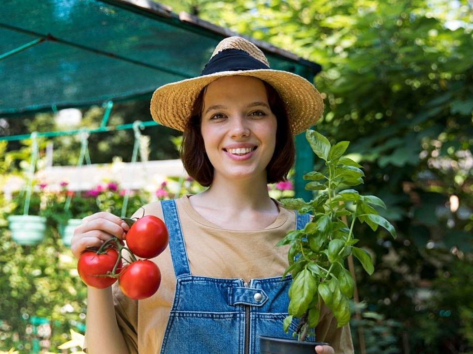 Как вырастить рассаду в домашних условиях: советы садоводам Подмосковья