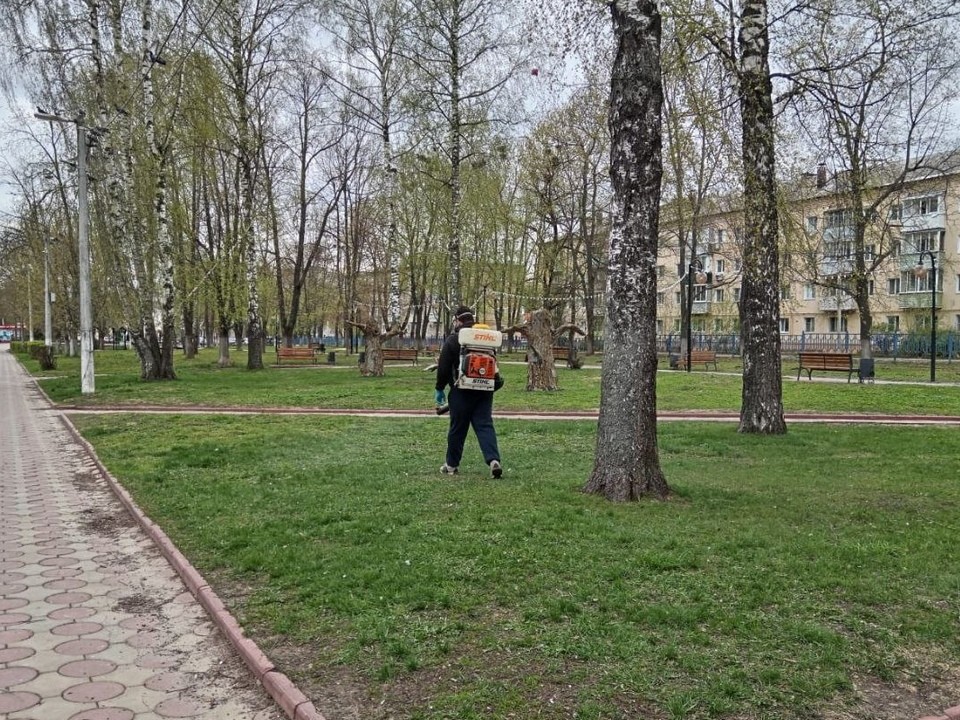 Луховицкие парки обрабатывают от клещей