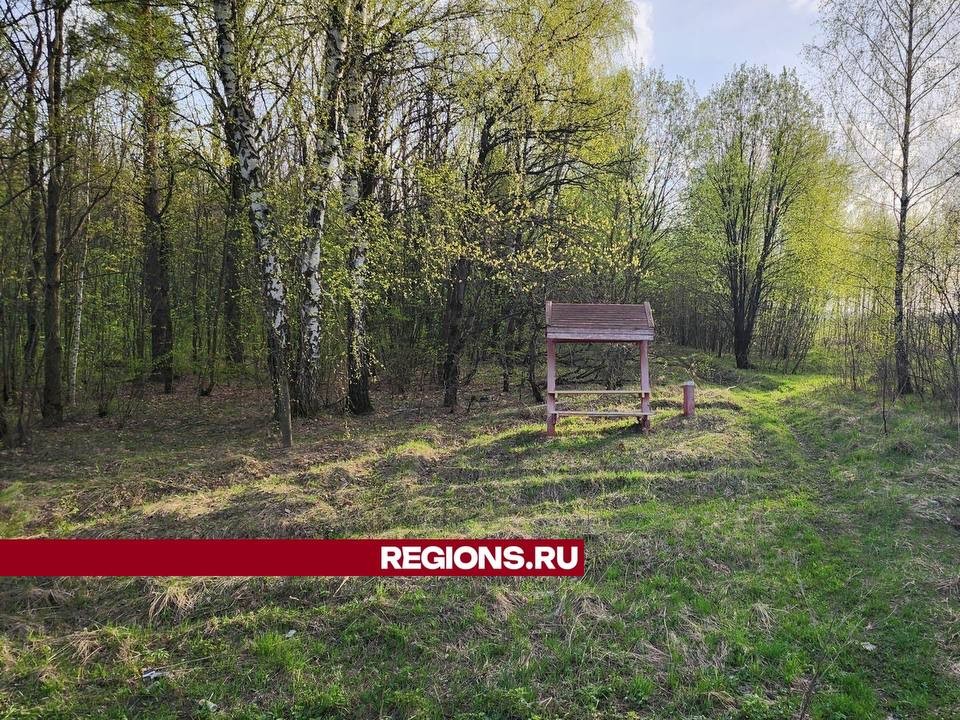Три бесплатных зоны для пикника оборудованы для жителей в Кашире