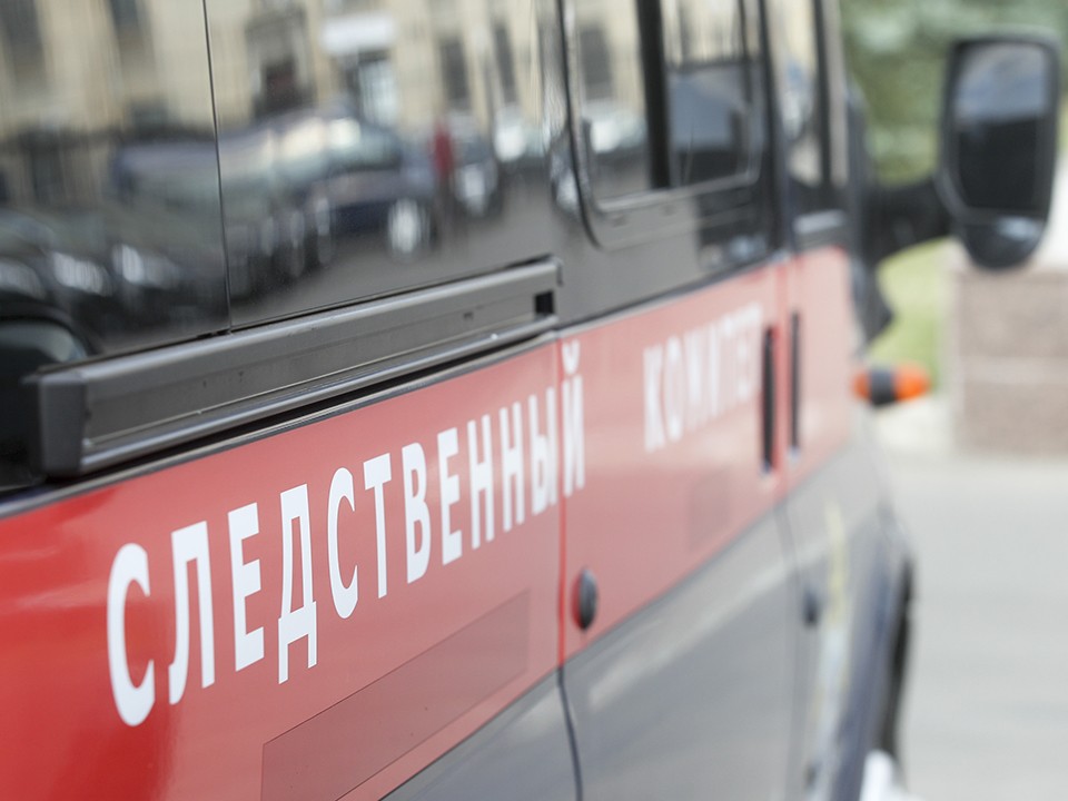 Дело об избиении школьника на детской площадке взял на контроль глава СК России Бастрыкин