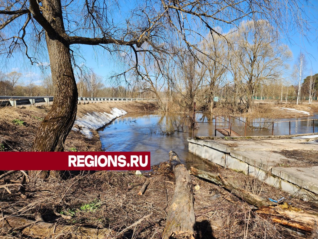 Ситуация под контролем: дорожники Истры не дают реке Грязевке выйти из берегов