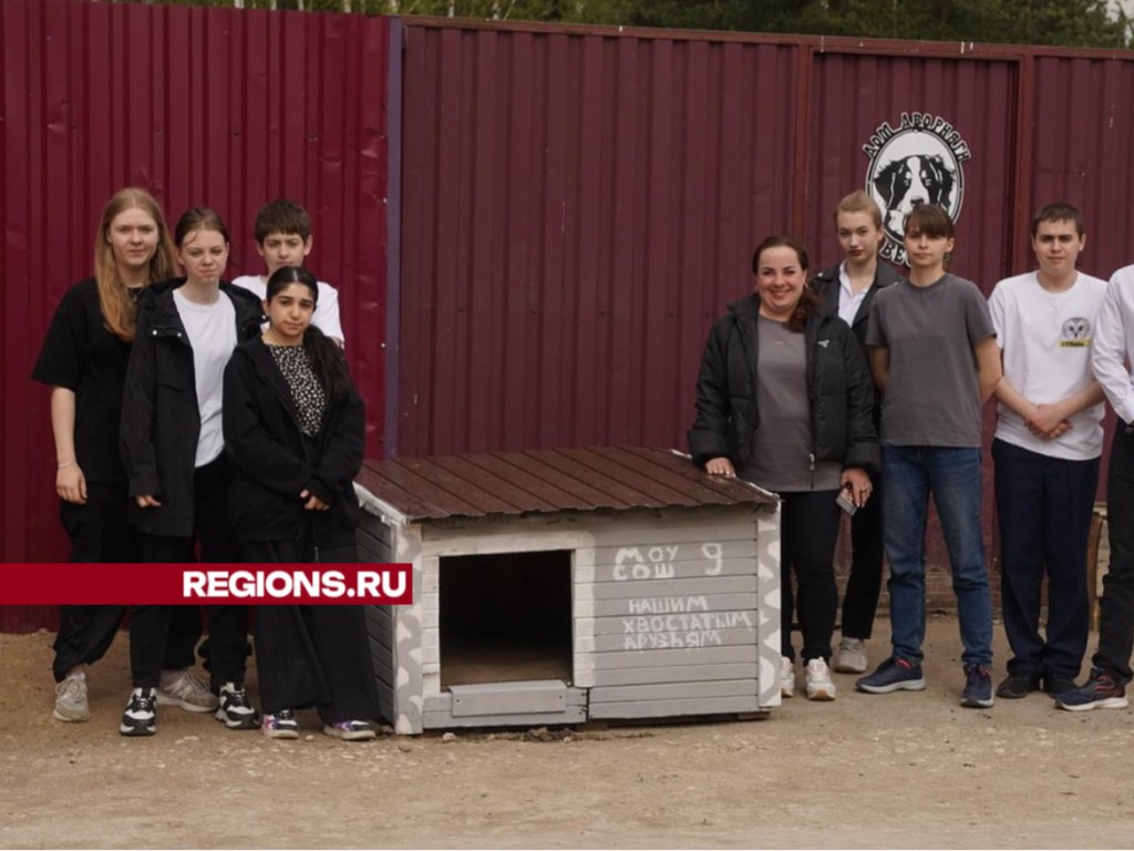 Школьники Павловского Посада отремонтировали будку для бездомных собак