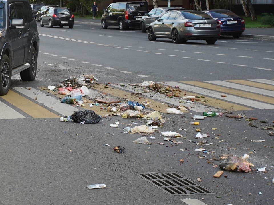 За неделю в Подмосковье зафиксировали более 160 фактов незаконного сброса мусора