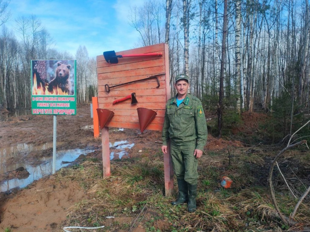 Пожароопасная ситуация в лесах Талдомского округа в ближайшие два дня улучшится