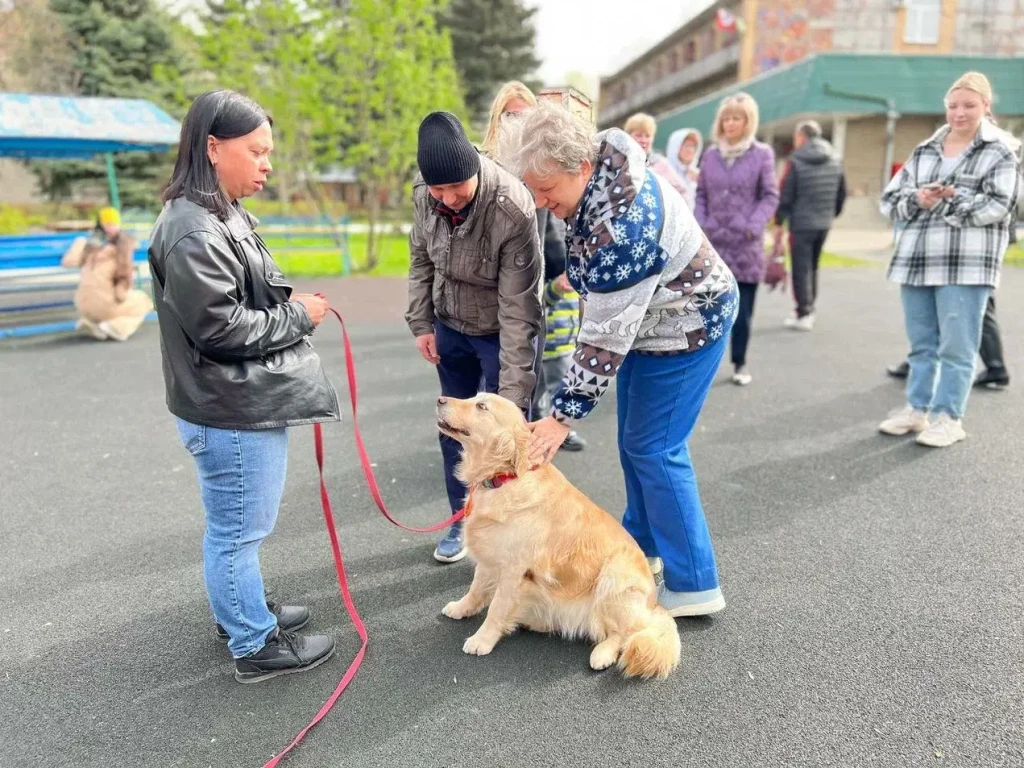 Пушистый доктор Мишель провела занятие по канистерапии с ребятами из социального центра в Ивантеевке