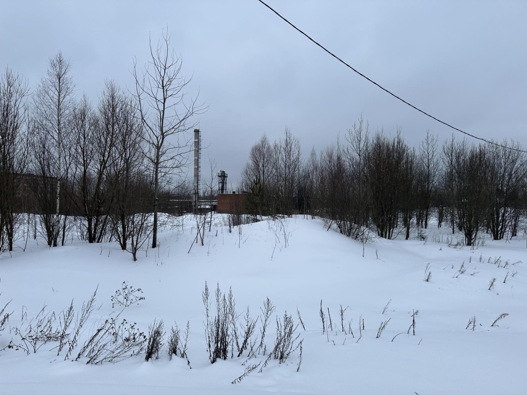 В Истре земельный участок ушел с молотка за рекордные 24 миллиона