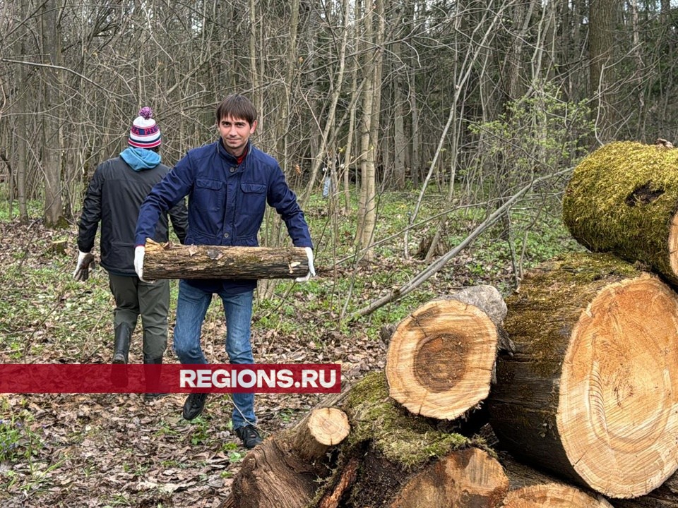 В Одинцовском парке культуры, спорта и отдыха прошла серьезная генеральная уборка