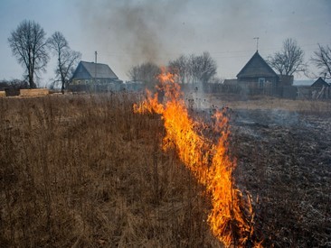 В Зарайске уже отмечены случаи пала травы
