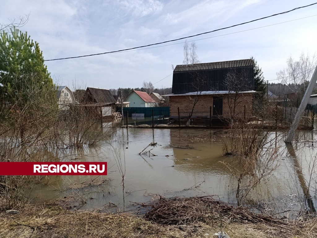 Почему подтопило участки в Раменском округе | Раменское