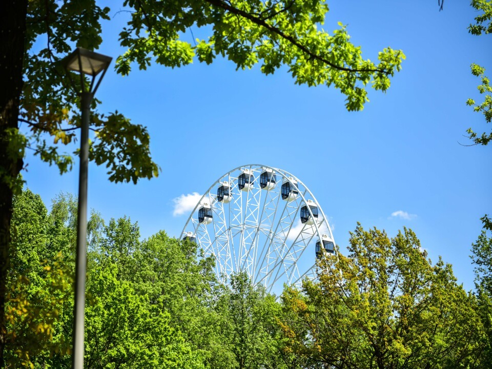 Парк Толстого оказался в топе самых посещаемых в Подмосковье