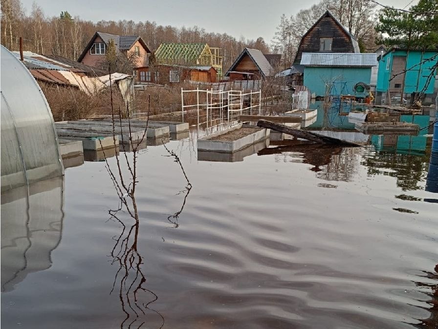 Высокая вода окружила дачников в СНТ Богородского округа