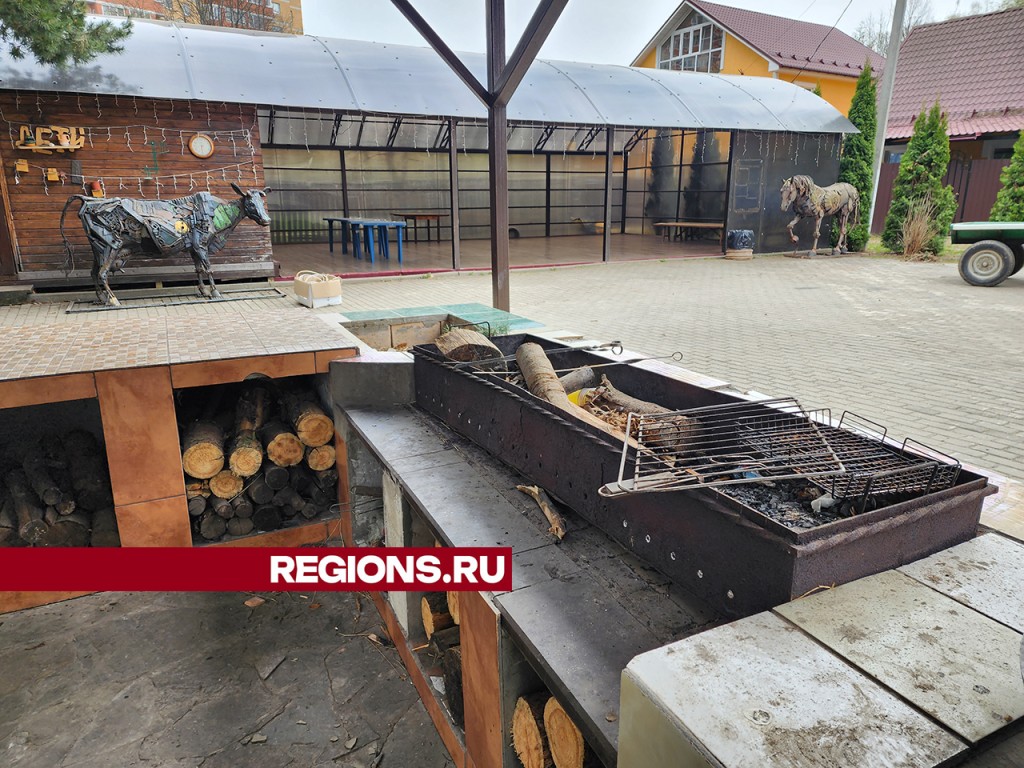 Жители микрорайона в Пушкино организовали для себя зону отдыха с мангалом и печью