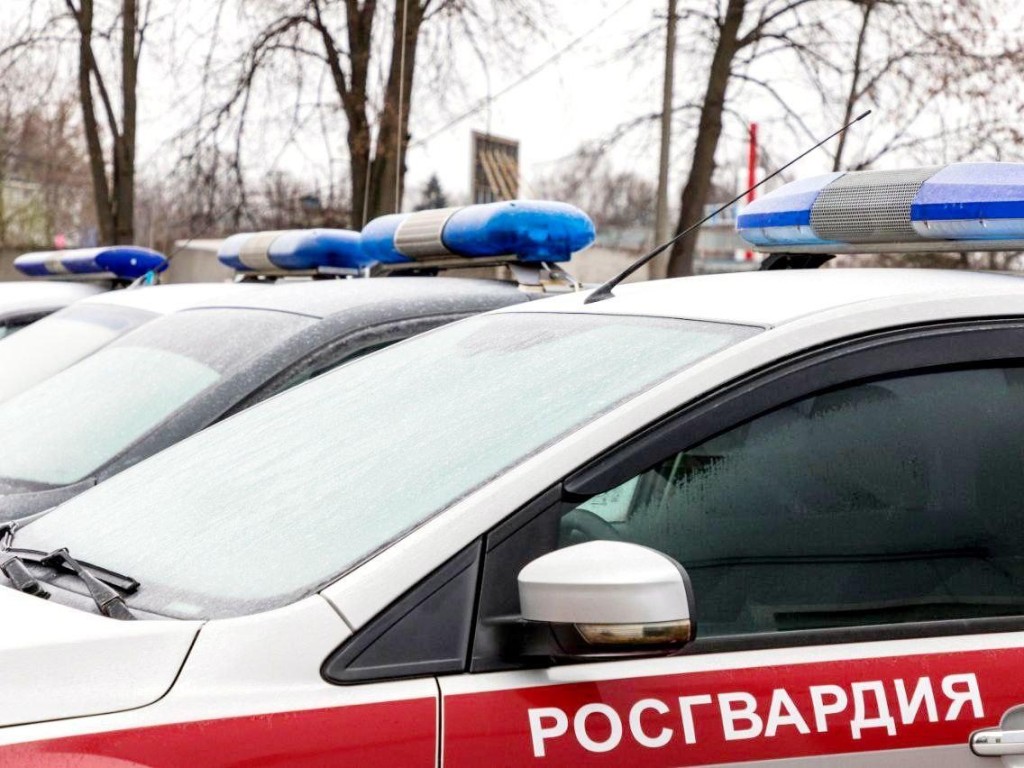 Задержан вор в строительном гипермаркете: ущерб превышает 22 тысячи рублей