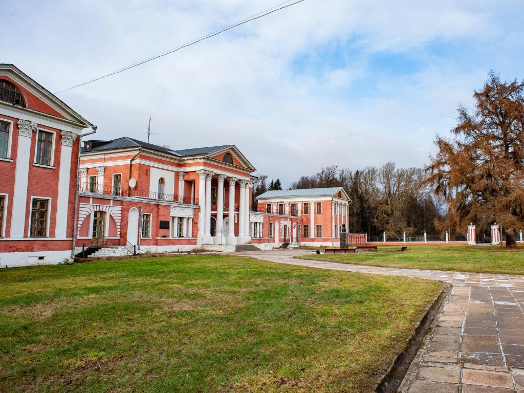 Лиственница из Волоколамска стала лучшим деревом Подмосковья