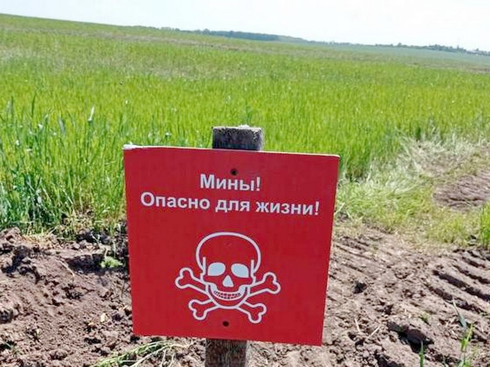 Как обезвредить мины, рассказали спасатели Ногинска белгородским коллегам
