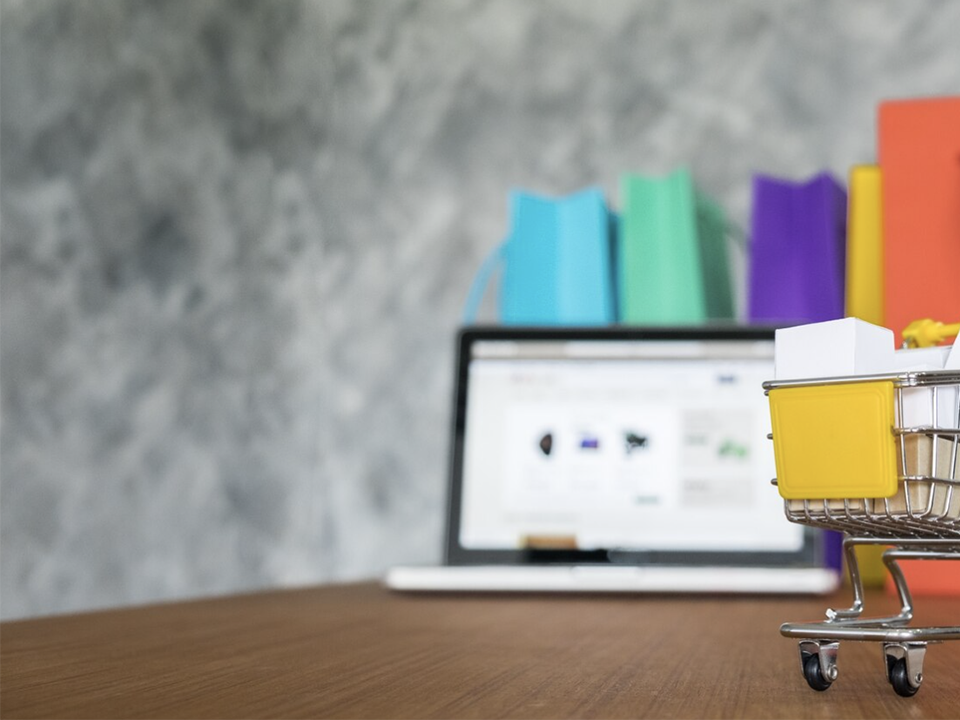 Администрация Богородского городского округа допустила нарушения при проведении торгов