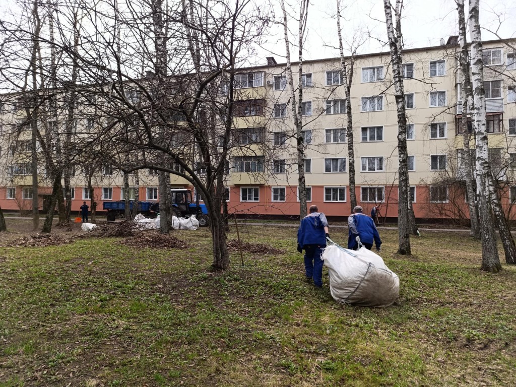 Коммунальщики Бронниц убирают мусор и прошлогоднюю листву в городских  дворах | REGIONS.RU / Бронницы