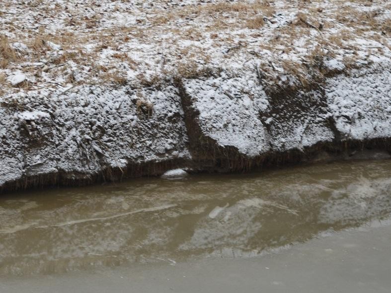 Уровень очистки сточных вод около деревни Бузланово повысят