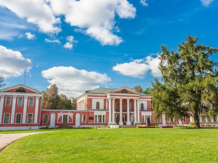 Лиственница из Волоколамского округа представит Подмосковье на всероссийском конкурсе