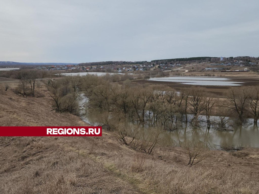 В запасе полтора метра: пик паводка на Оке в городском округе Ступино  пройден | REGIONS.RU / Ступино