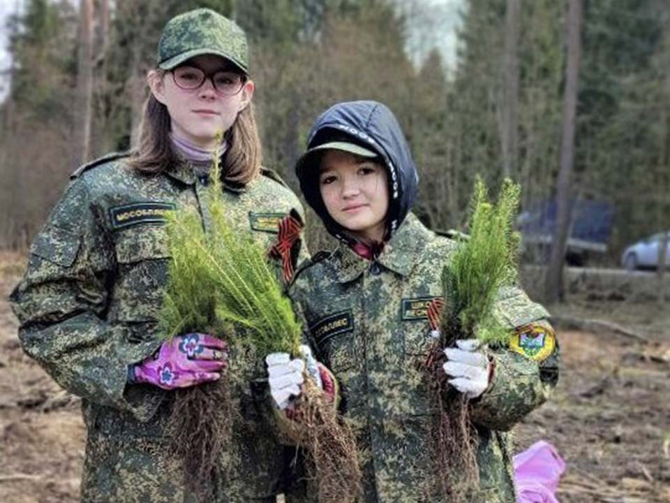 Дмитровские школьники вышли в финал всероссийского конкурса имени Г.Ф. Морозова