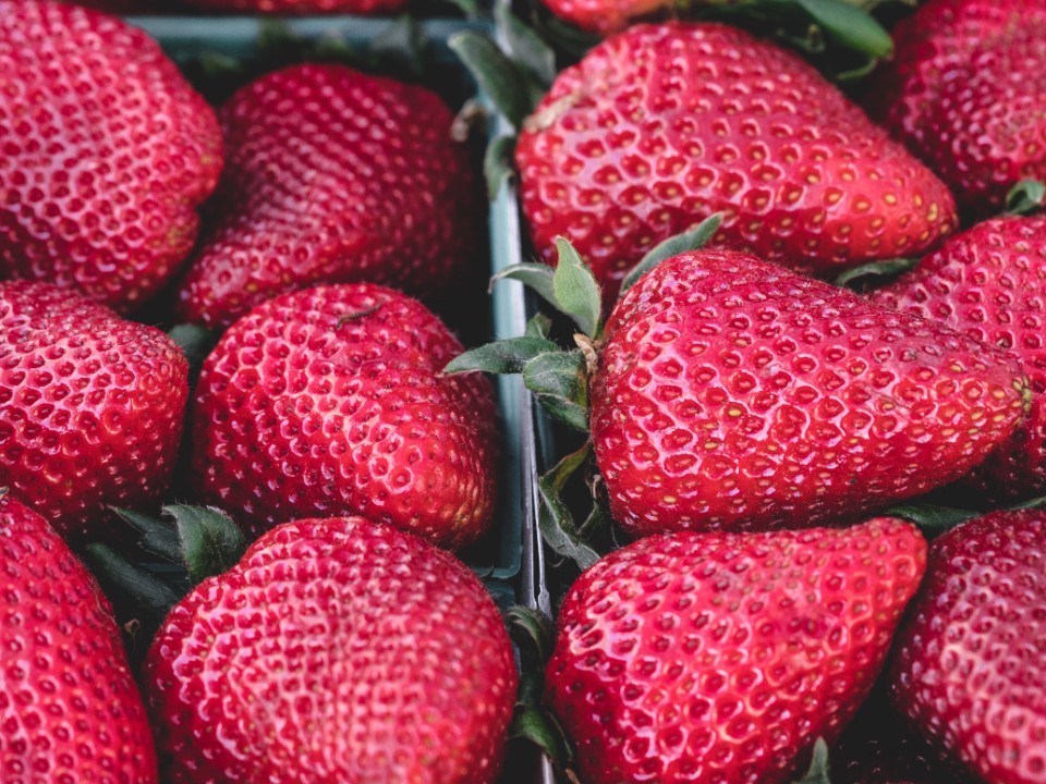 В Наро-Фоминске агропредприятие в 2024 году вырастит около 420 тонн ягод