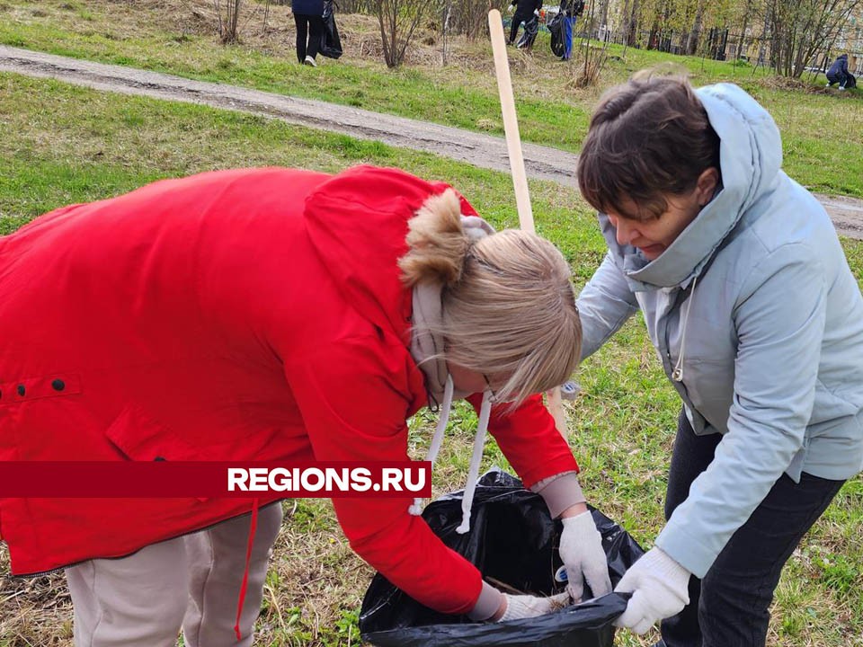 В Кузнечиках привели в порядок площадь Защитников Отечества | REGIONS