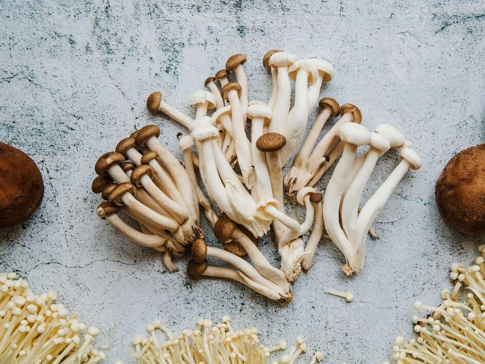 Сморчки и строчки: какие грибы можно собрать в лесах Электрогорска