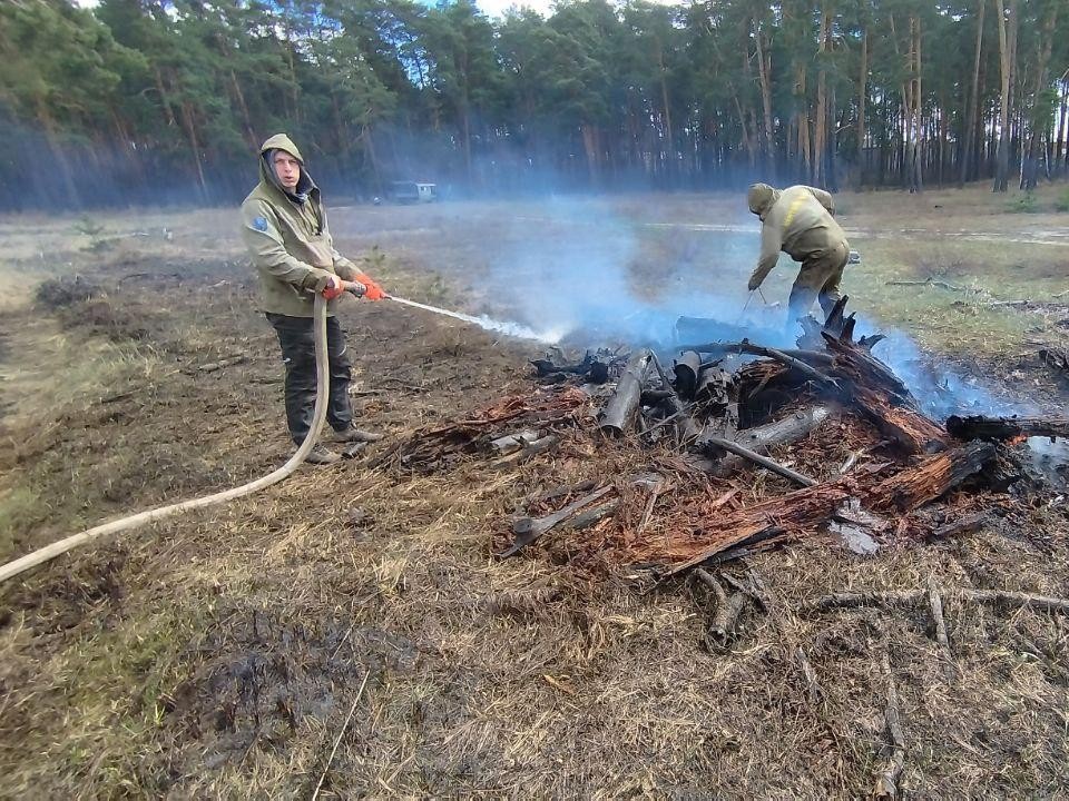 В Луховицах ликвидировали лесной пожар
