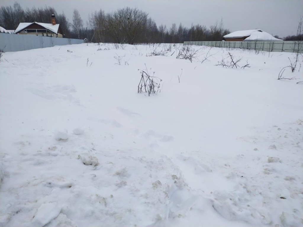 Бюджет Орехово-Зуева пополнился двадцатью миллионами рублей
