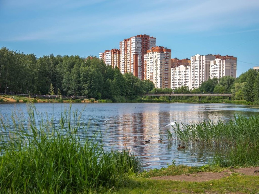 Балашихинцам рассказали, где можно будет позагорать этим летом