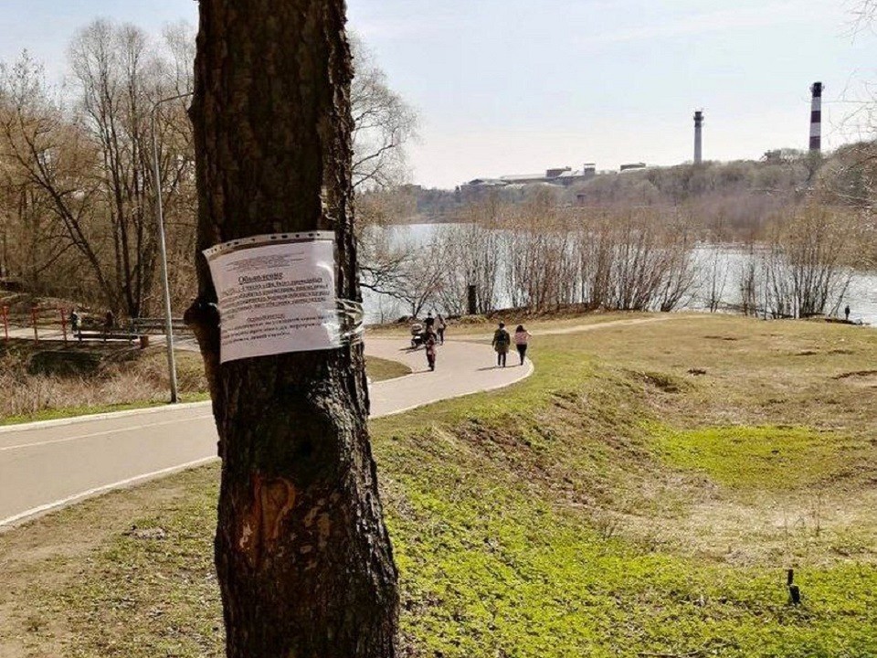 Раменский парк мероприятия. Парк событие. Лыжероллерная трасса. Челбасская Краснодарский край. Раменский парк.