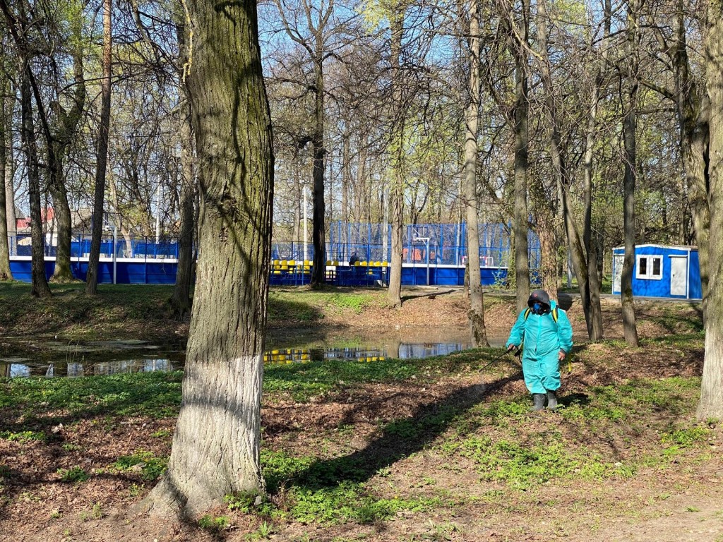 Домодедовские парки обработают от клещей