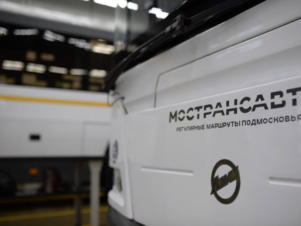 И собаки, и еноты: жителям Ленинского округа напомнили о правилах перевозки животных в автобусах