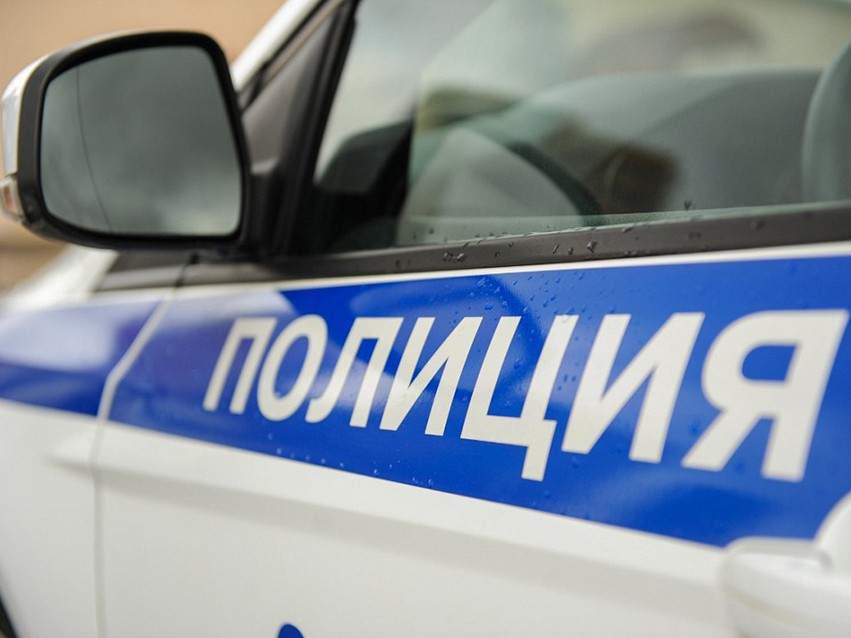 В Дмитрове задержали подозреваемых в краже автомобиля