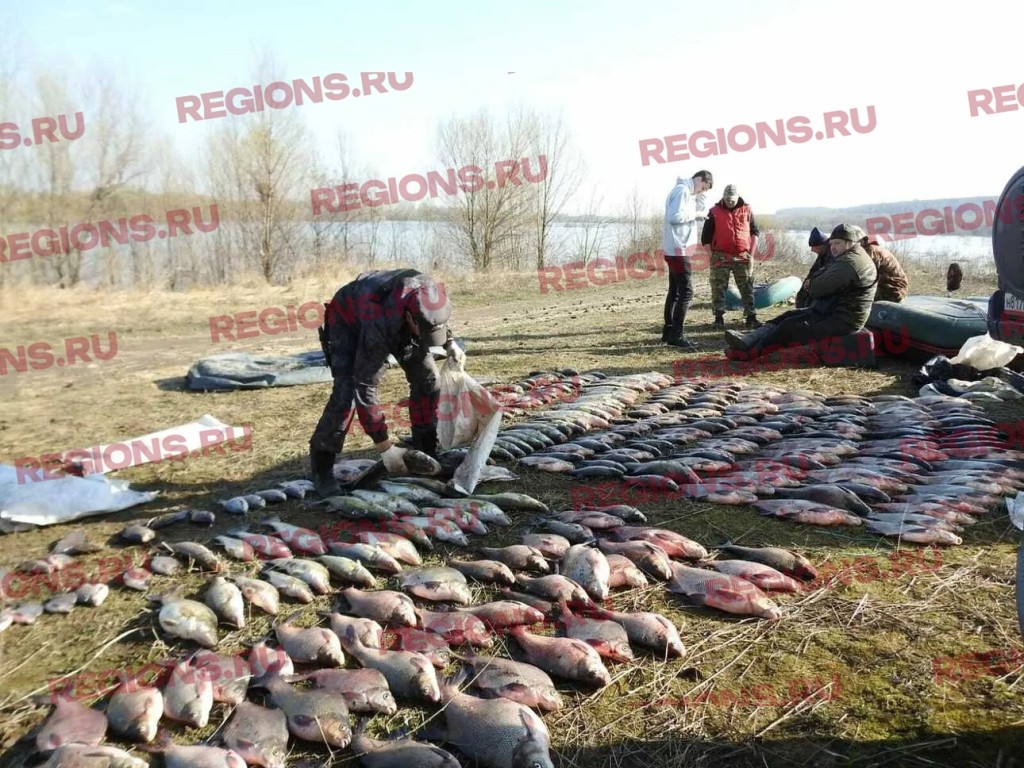 На Оке под Серпуховом задержали браконьеров с почти 400 кг рыбы