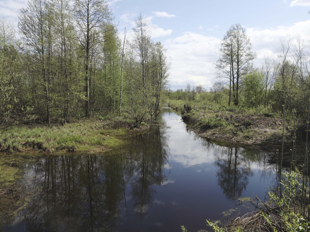 Люди должны пить чистую воду: за загрязнение реки Учи нарушитель понесет наказание