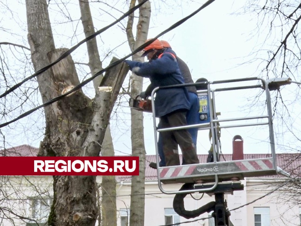 На Театральной улице по просьбам жителей убрали аварийные деревья и сухие ветки