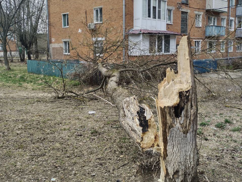 Ветер в Подольске срывает крыши, ломает деревья и устраивает мусорные торнадо