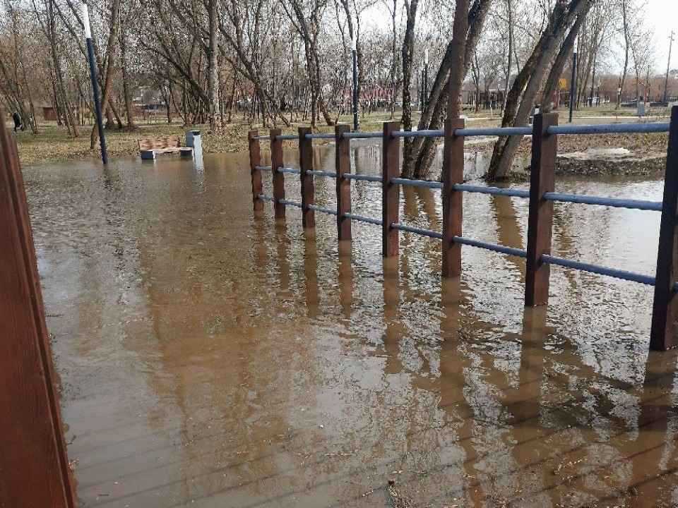 Река Нара вышла из берегов и затопила Принарский парк