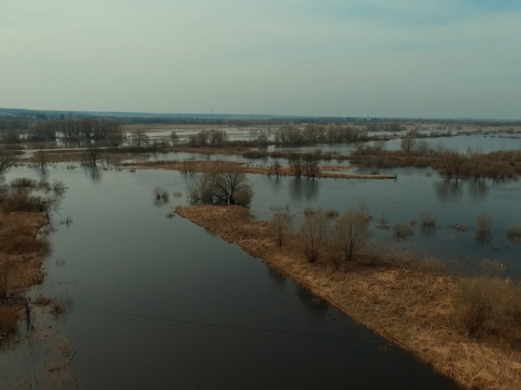 Спасатели помогли жителям ДНТ «Золотая подкова» эвакуироваться из-за паводка